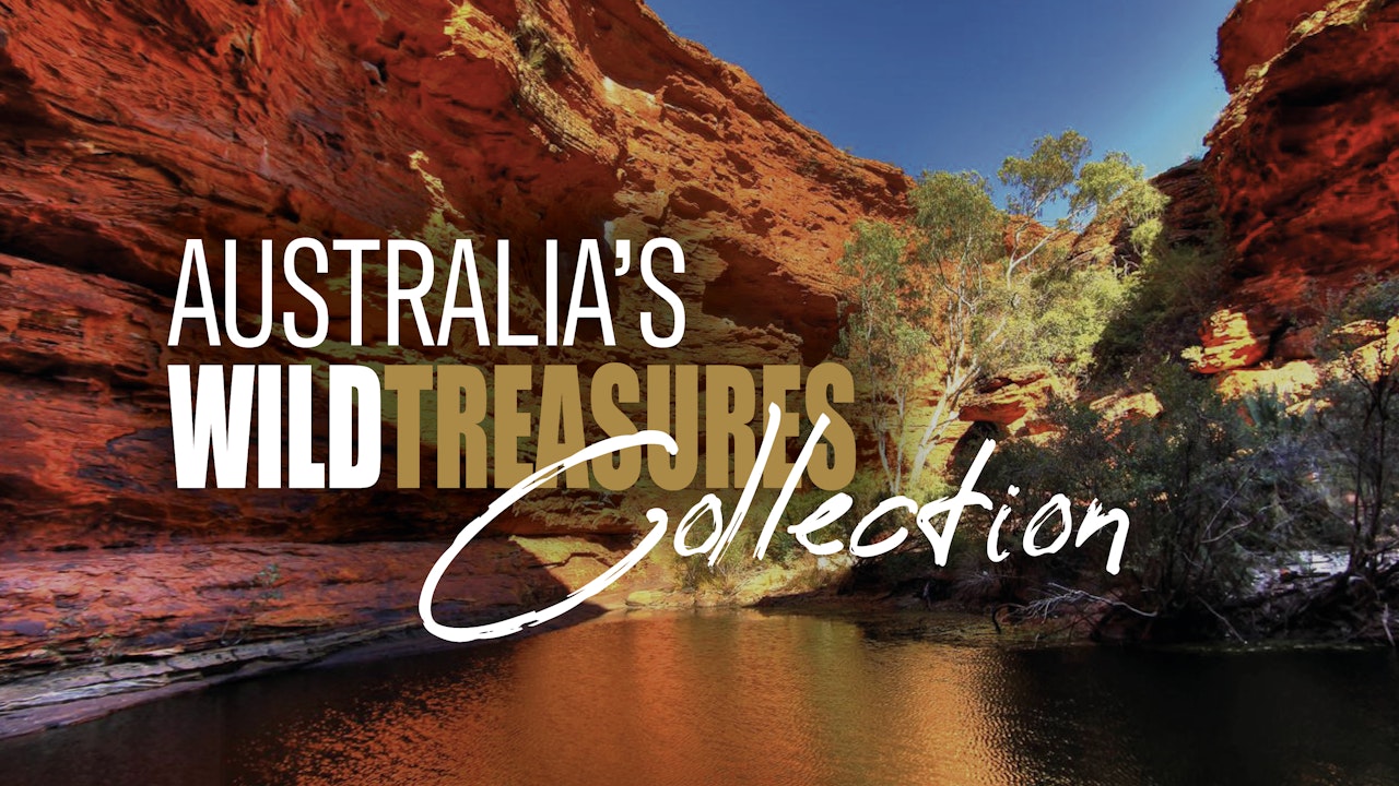 Australia's Wild Treasures