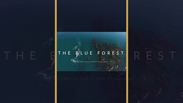 The Blue Forest (Trailer)