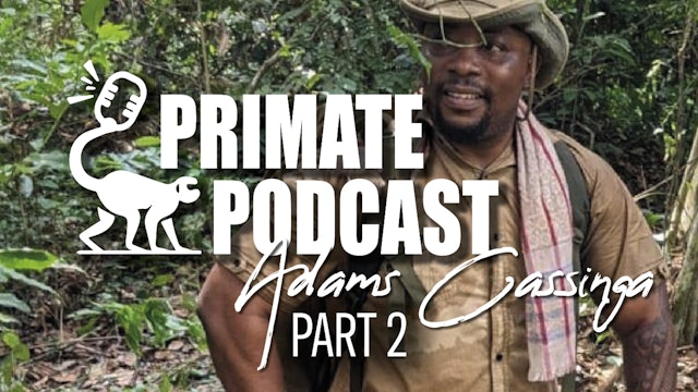 The Primate Podcast with Adams Cassinga Part 2