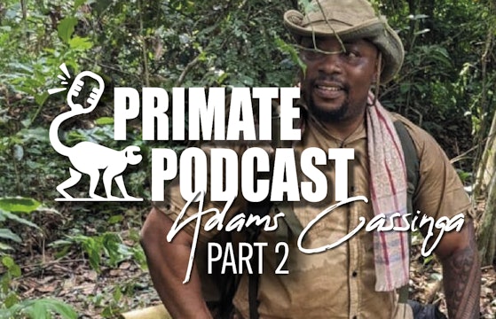 The Primate Podcast with Adams Cassinga Part 2