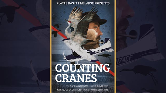 Counting Cranes (Trailer)