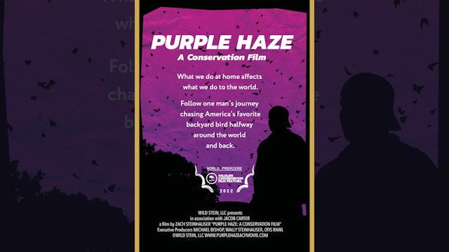 Purple Haze (Trailer)