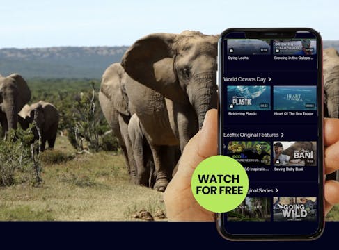 Protect wildlife. Watch the Differenc...