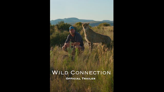 Wild Connection Teaser WCFF2023