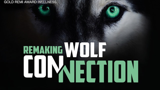 Remaking Wolf Connection 