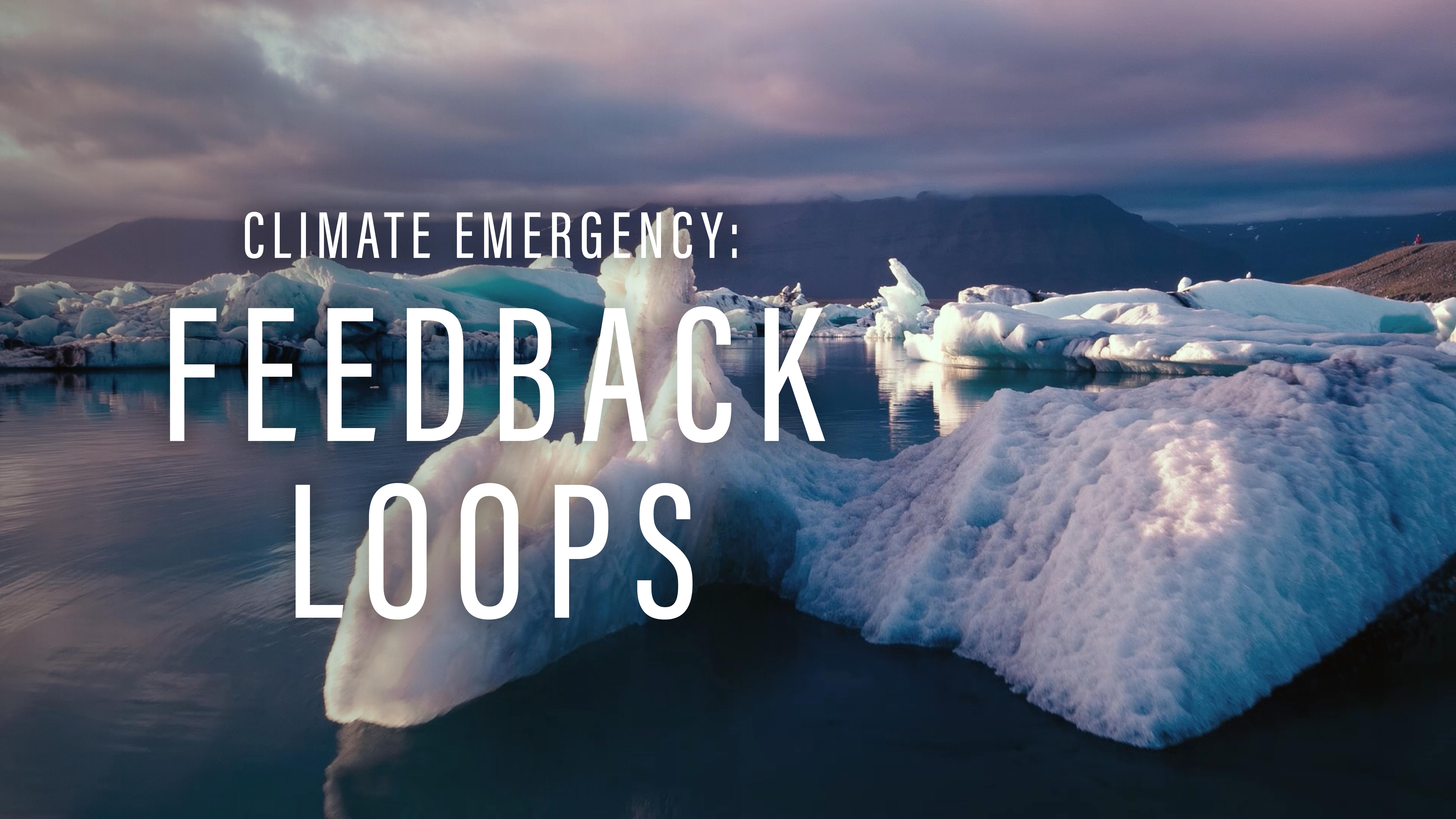 Climate Emergency : Feedback Loops