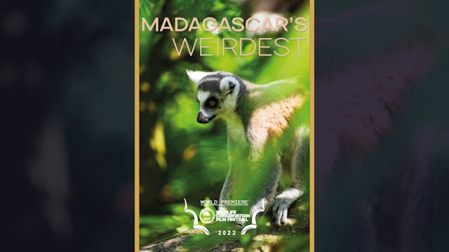 Madagascar's Weirdest Forests of Wonder