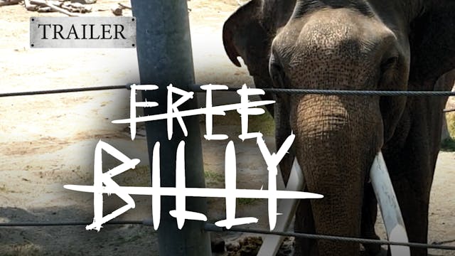 Free Billy (Trailer)