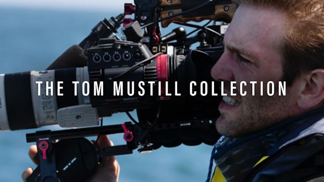 The Tom Mustill Collection