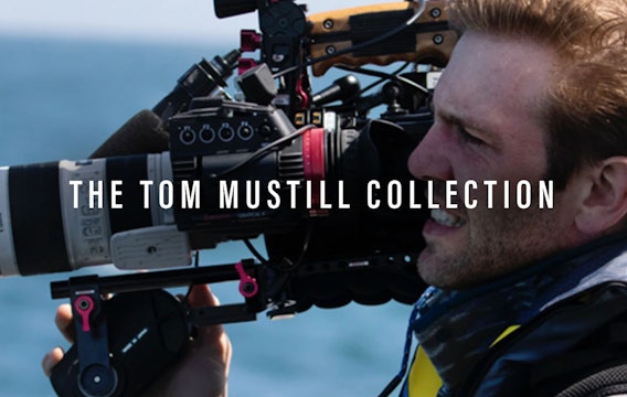 The Tom Mustill Collection