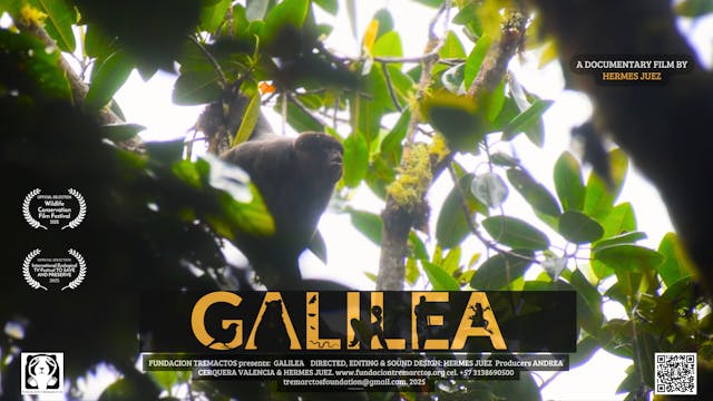 Galilea WCFF2025