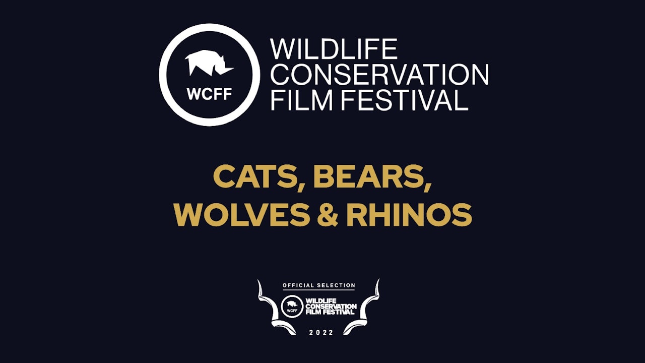 WCFF 2022 Cats, Bears, Wolves & Rhinos