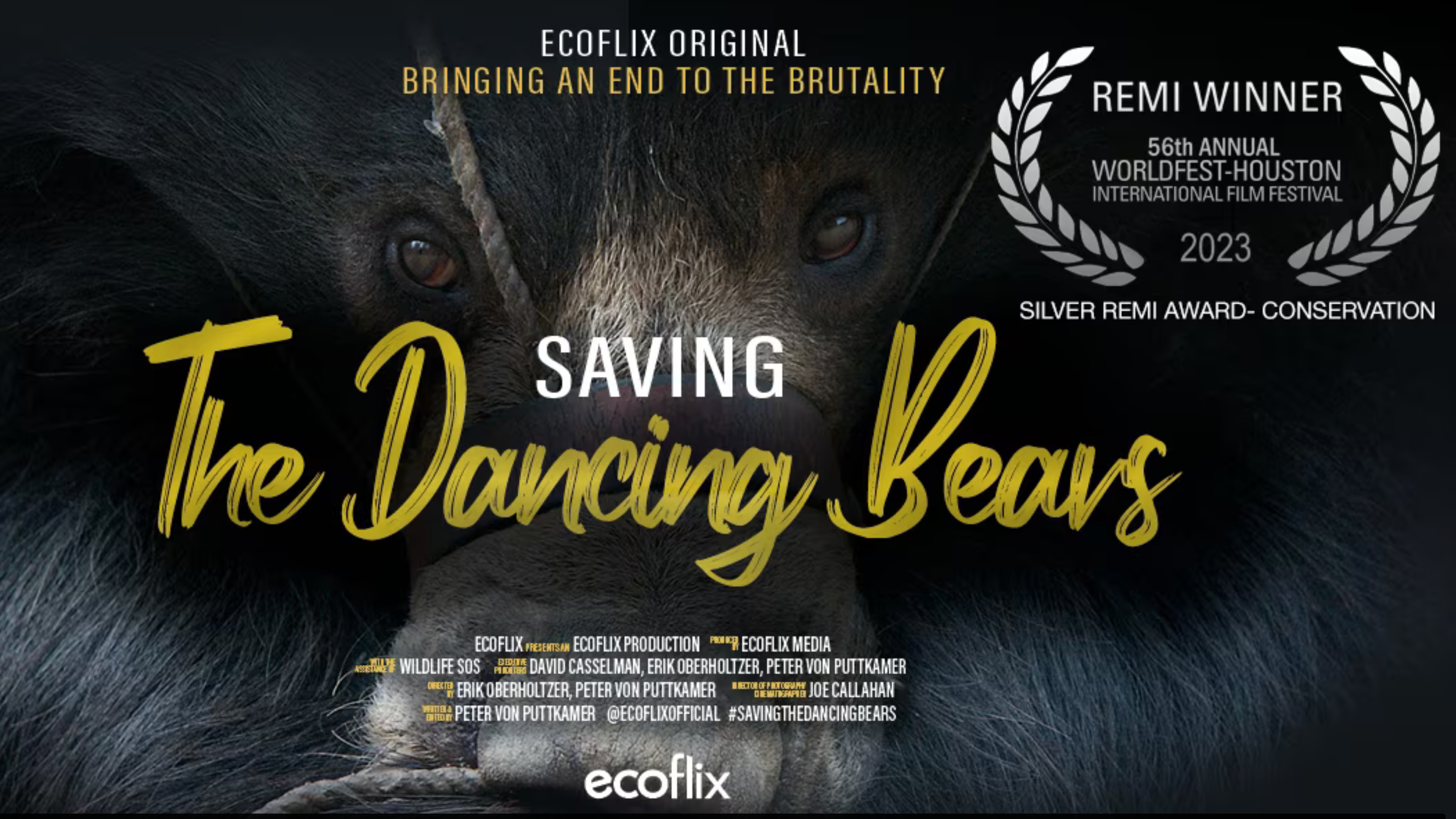 Saving The Dancing Bears - Wildlife SOS