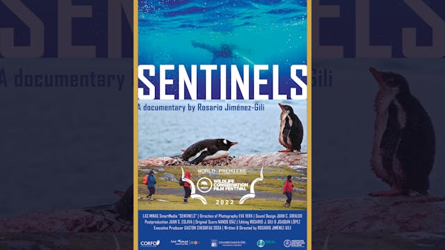 Sentinels (Trailer)