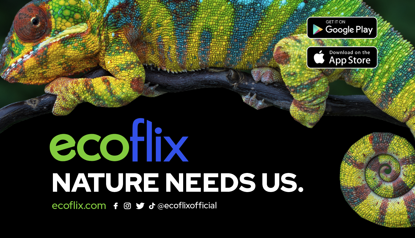 NGO Inspiration Reel