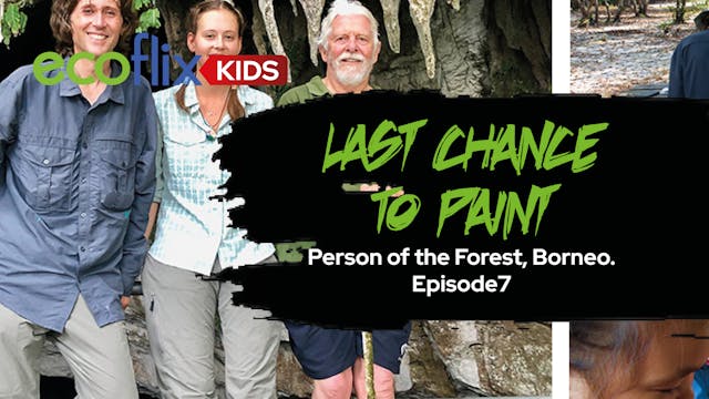 Last Chance to Paint - Person of the ...