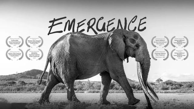 Coming Soon: Emergence