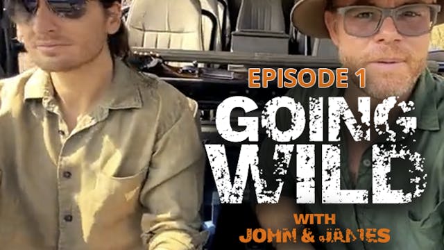 Going Wild with John & James Episode 1