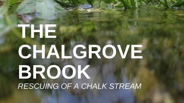 The Chalgrove Brook