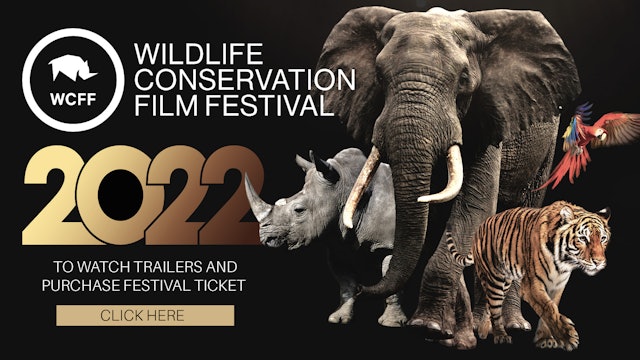 Wildlife Conservation Film Festival 2022