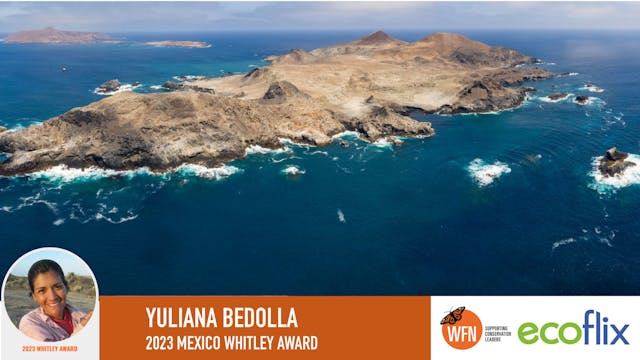 ECOFLIX Yuliana Bedolla 2023 Mexico W...