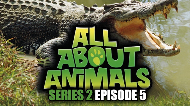 All About Animals - Series 2 - Episode 5