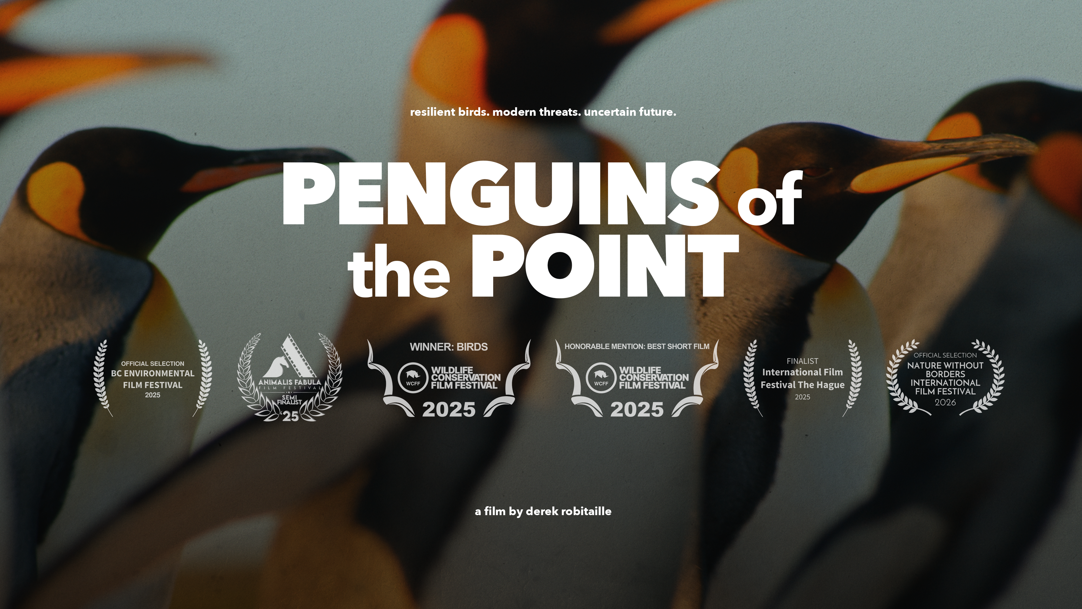 Penguins of the Point