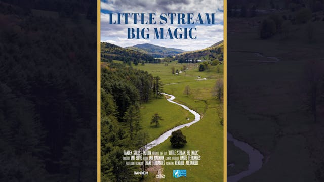 Little Stream Big Magic