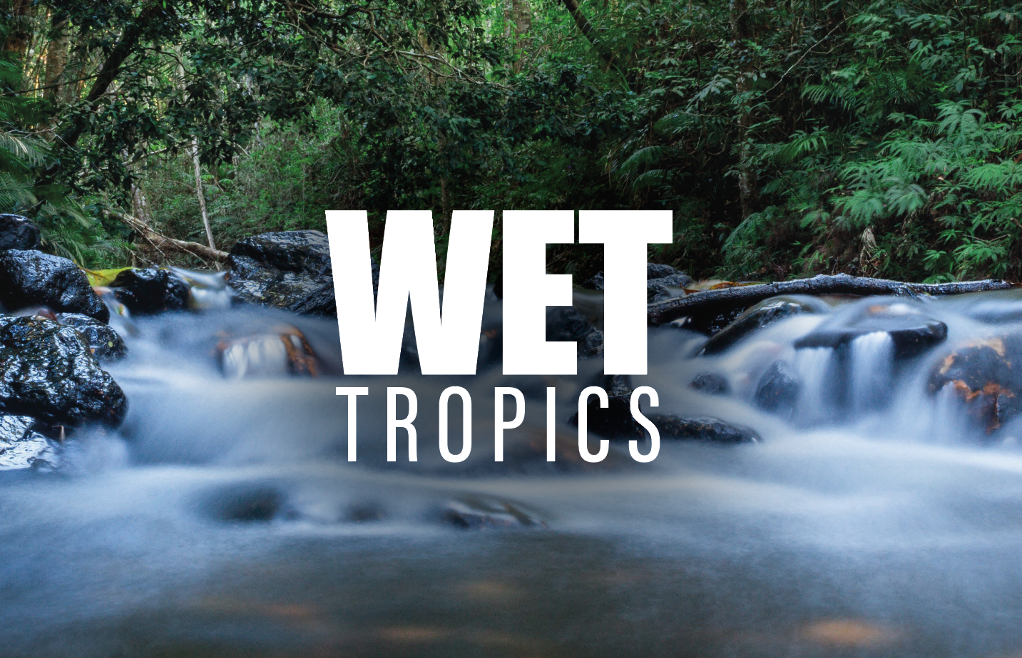 Wet Tropics