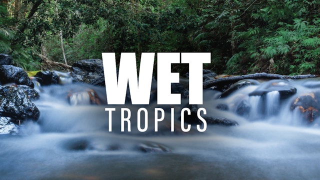 Wet Tropics