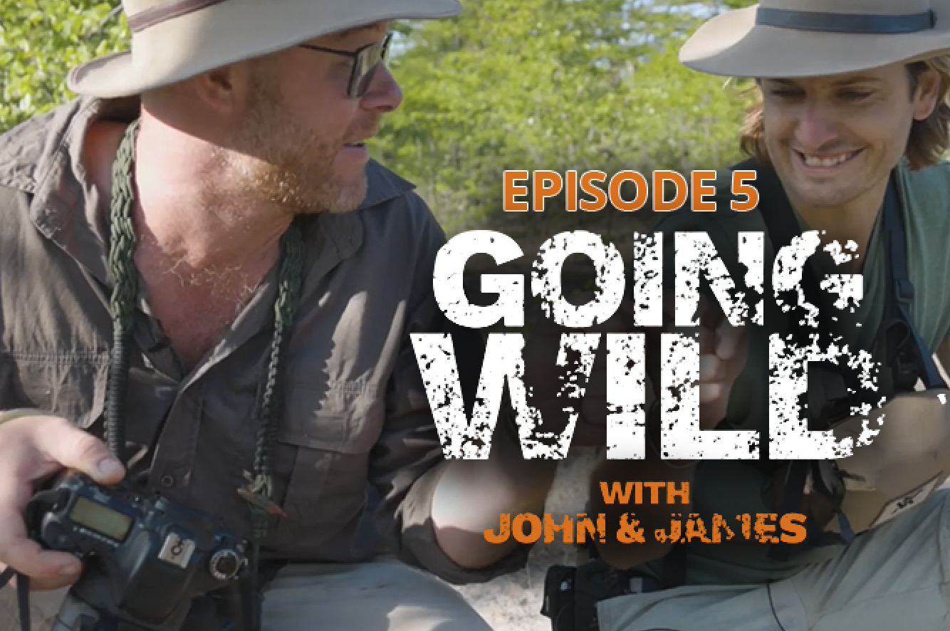Going Wild with John & James Episode 5
