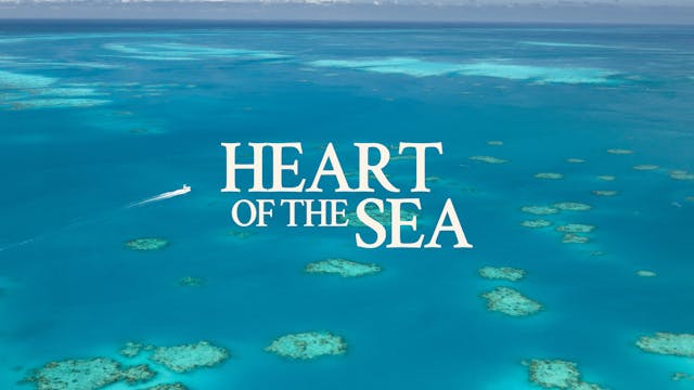 Coming Soon: Heart Of The Sea 