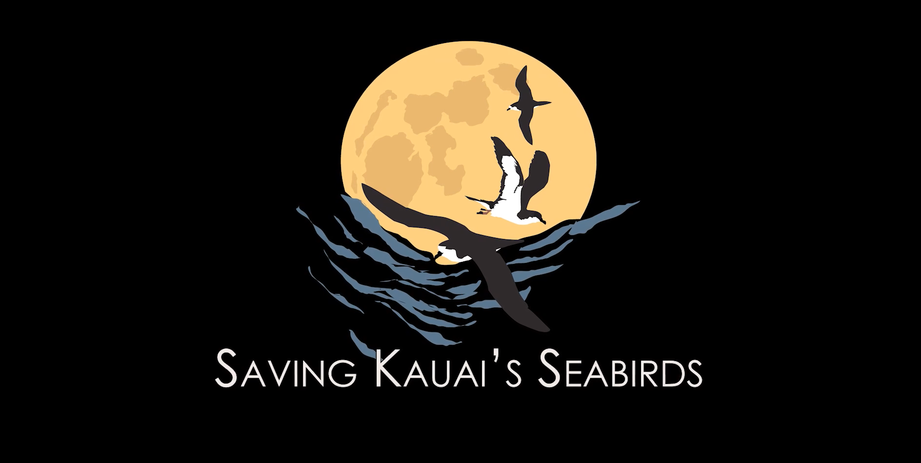 Saving Kauai's Seabirds