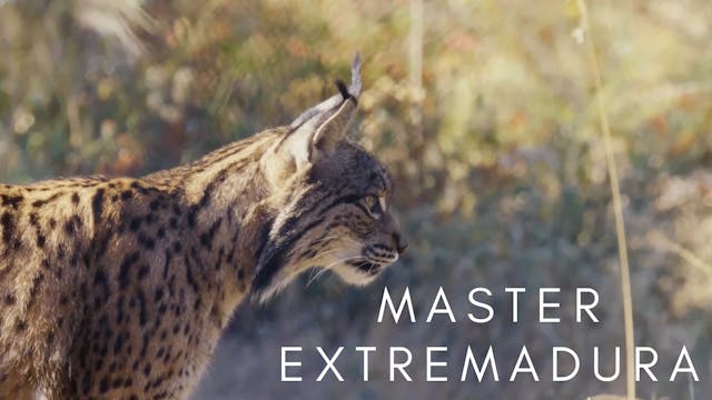 Master Extremadura
