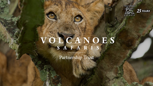 Volcanoes Safaris Partnership Trust