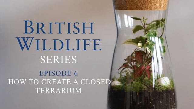 British Wildlife Series -Episode 6- H...