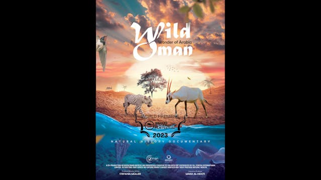 Wild Oman Wonder Of Arabia Teaser WCF...