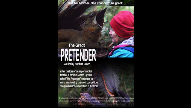 The Great Pretender Teaser WCFF2023
