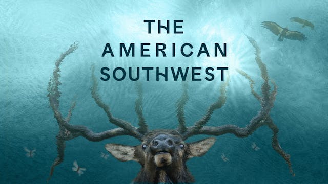 The American Southwest WCFF 2025