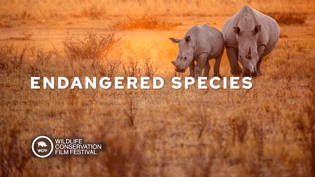 Endangered Species WCFF2023