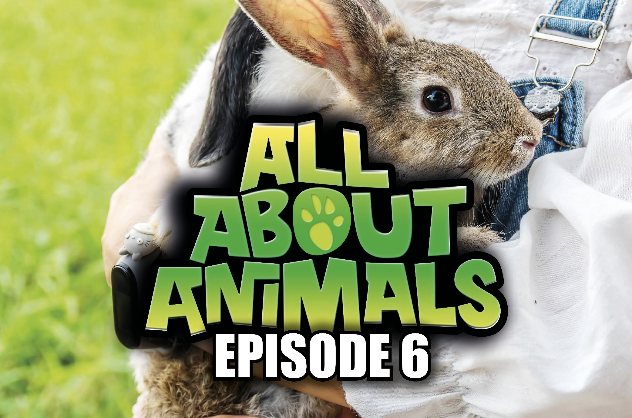 All About Animals - Series 1 - Episode 6 