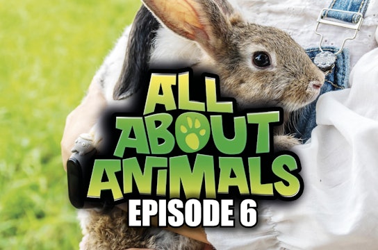 All About Animals - Series 1 - Episode 6 
