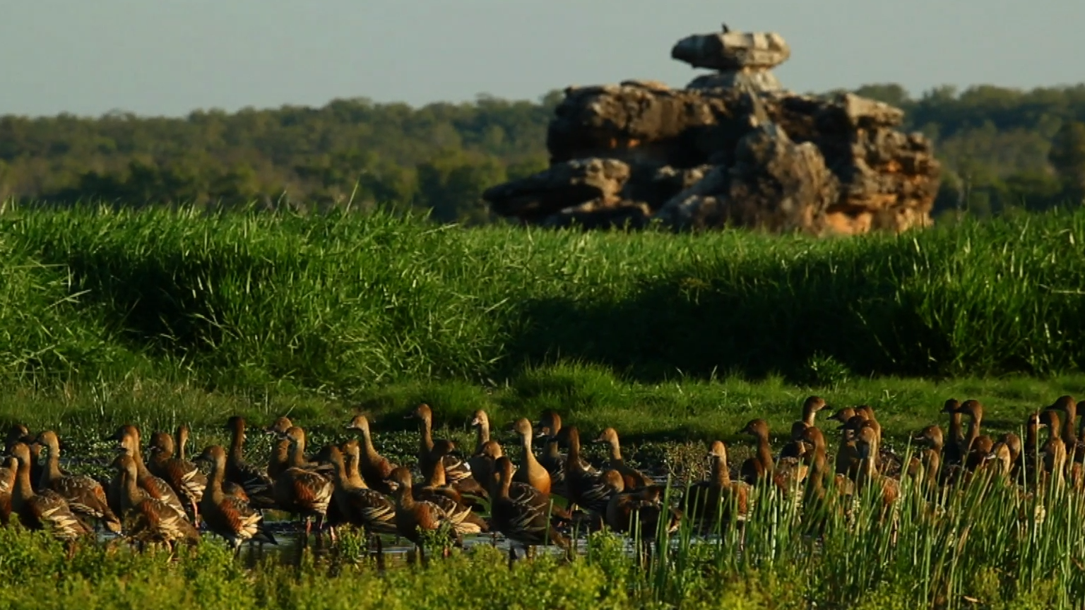 Timeless North - Tess Atie