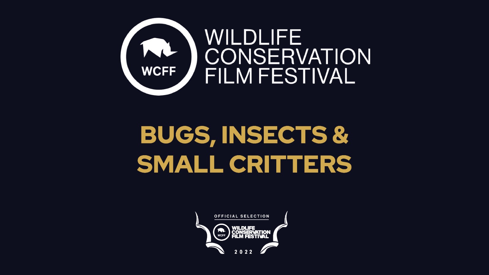 WCFF 2022 - Bugs, Insects & Small Critters