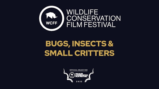 WCFF 2022 - Bugs, Insects & Small Critters