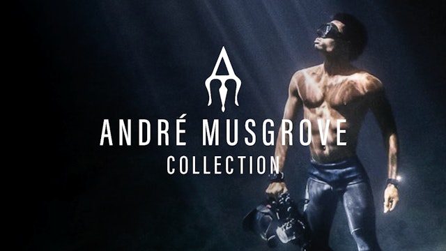 The André Musgrove Collection
