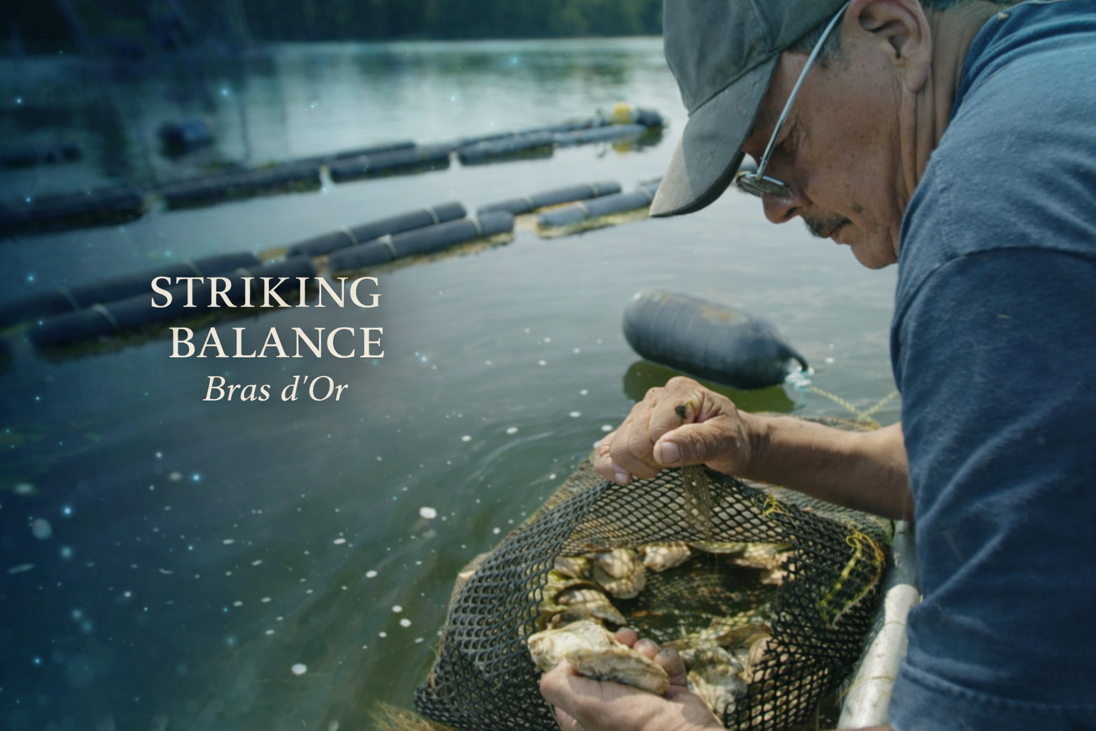 Striking Balance - Bras d’Or