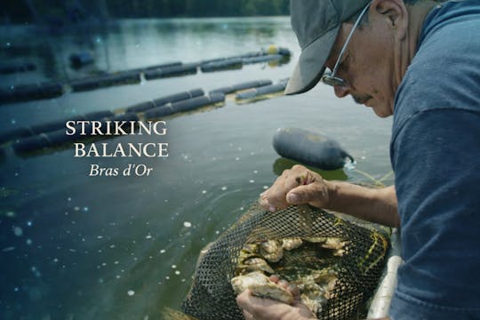 Striking Balance - Bras d’Or