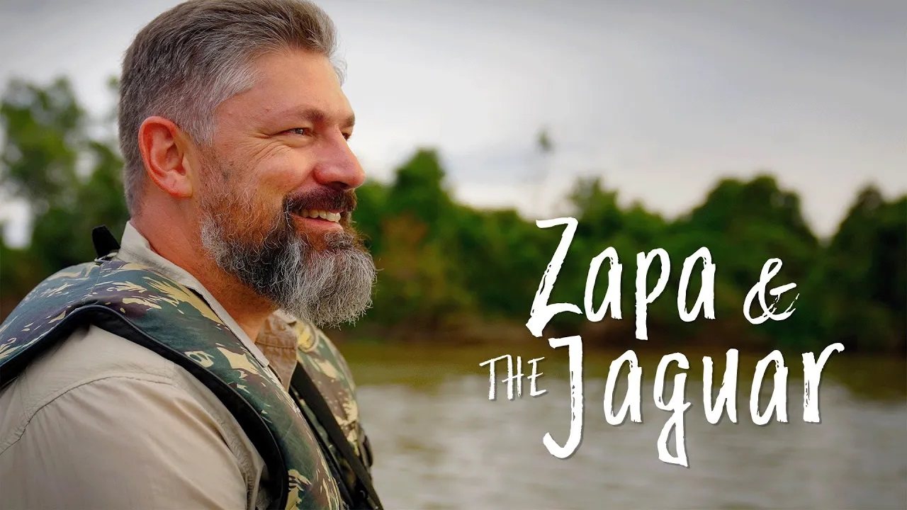 Zapa and the Jaguar 