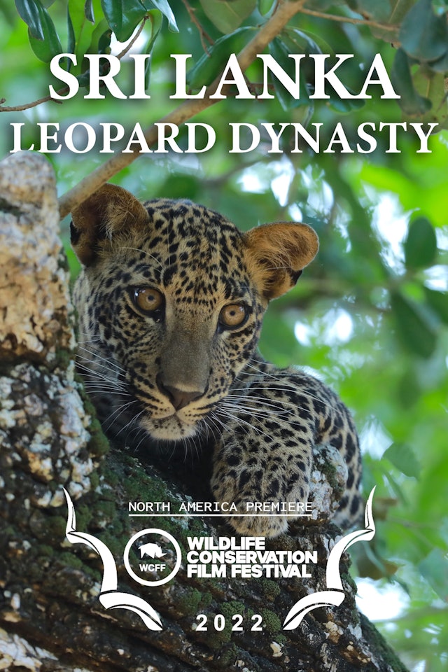 Sri Lanka: Leopard Dynasty (Trailer)